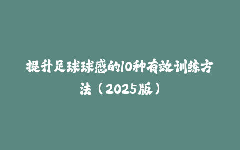 提升足球球感的10种有效训练方法（2025版）-火次果