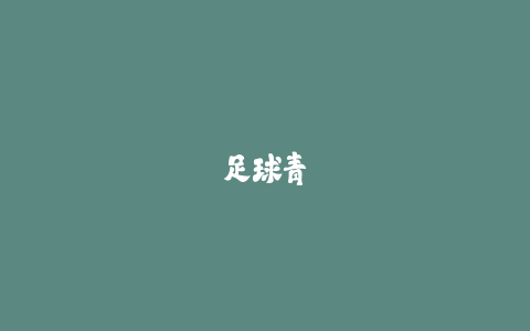 足球青训选材标准：优秀年轻球员具备哪些特质？-火次果