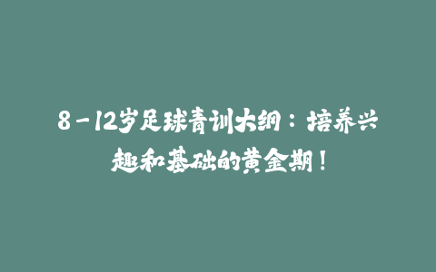 8-12岁足球青训大纲：培养兴趣和基础的黄金期！-火次果