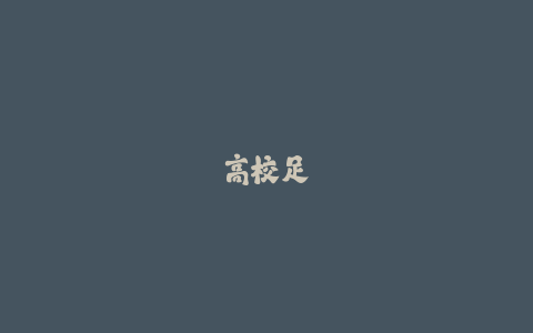 高校足球场开放时段与预约电话全览(最新实用版)