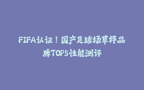 FIFA认证！国产足球场草坪品牌TOP5性能测评-火次果