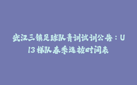 武汉三镇足球队青训试训公告：U13 梯队春季选拔时间表-火次果