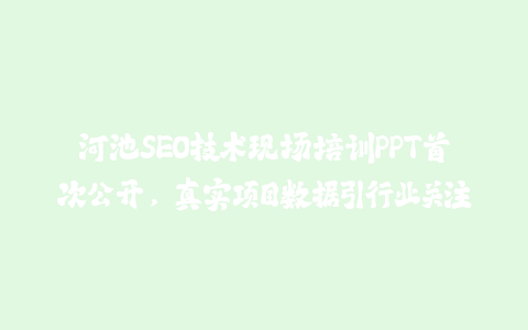 河池SEO技术现场培训PPT首次公开，真实项目数据引行业关注-火次果