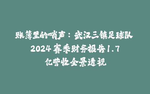 账簿里的哨声：武汉三镇足球队 2024 赛季财务报告 1.7 亿营收全景透视-火次果